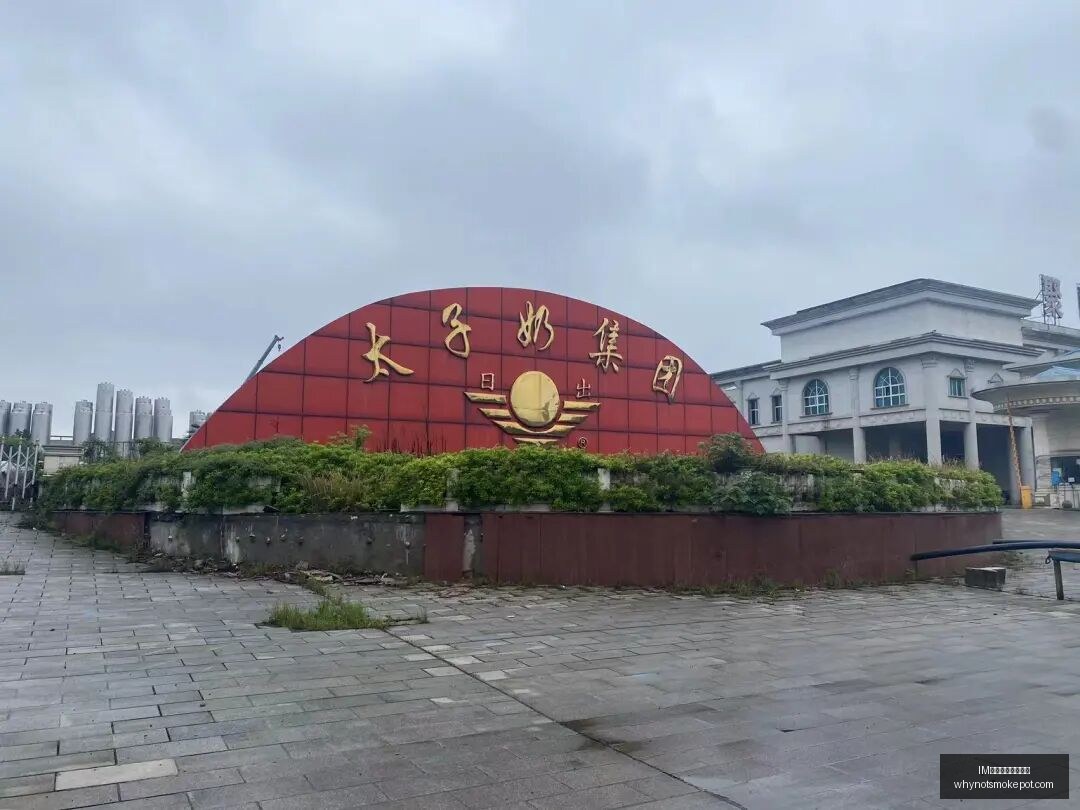 荣耀,国行版预约,开启,IM体育,IM体育规则,教学手册